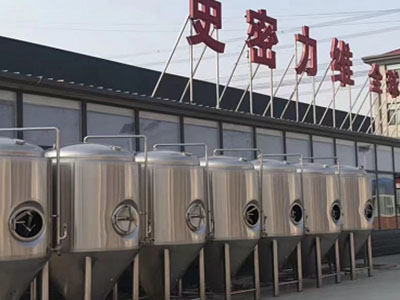 白水精酿啤酒设备厂—如何判断精酿啤酒设备的密封件需要更换？